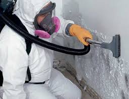 Best Mold Odor Removal Services  in Goshen, IN